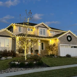 Christmas Light Installation
