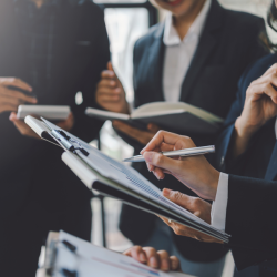 IRS Examination and Audit Support