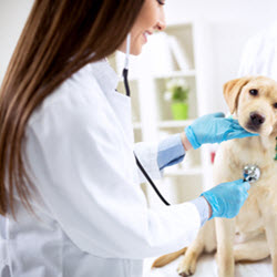 Sick and Injured Care