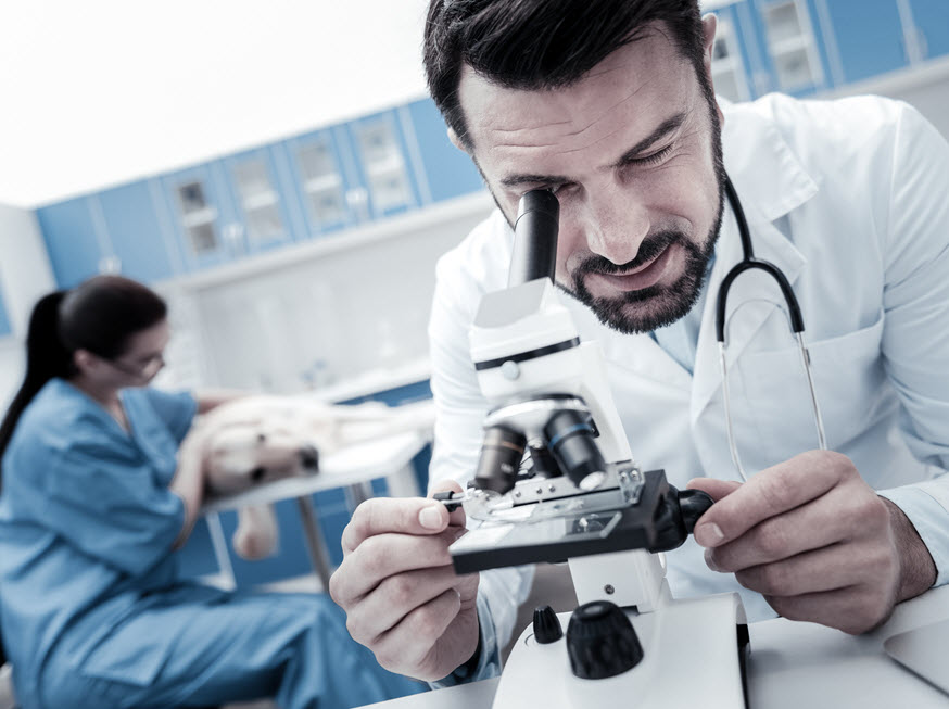 Laboratory Services