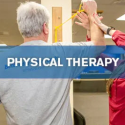 Physical Therapy