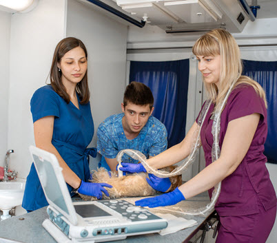 Ultrasonography