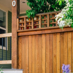 Deck and Fence Painting