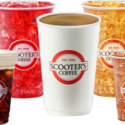 Hot & Iced Teas