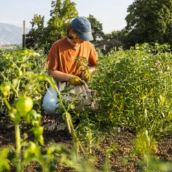 Gardening Education