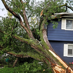 Storm & Fire Damage Restoration