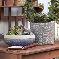 Patio & Garden