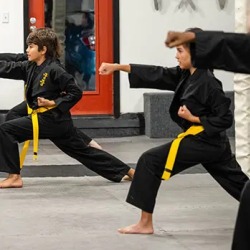 Teen Martial Arts