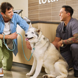 Animal Hospital