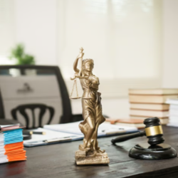 Administrative Law Representation