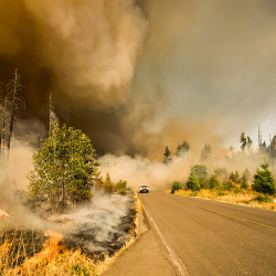 Natural Hazard Disclosure