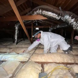 Home Insulation