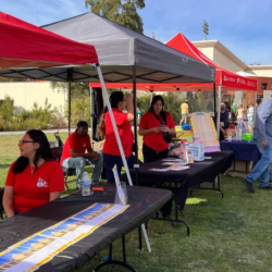 Volunteer Opportunities