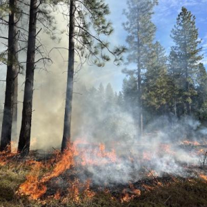 Access to Prescribed Fire Resources