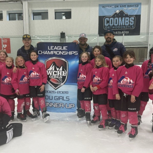 Girls Hockey Programs