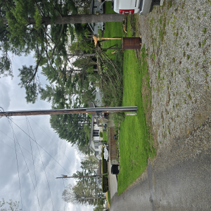 Storm Damage Clean-Up