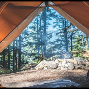 Camps