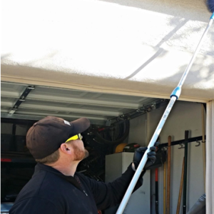 Stinging Insect Removal