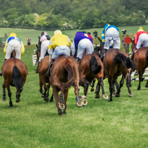Horse Racing Events