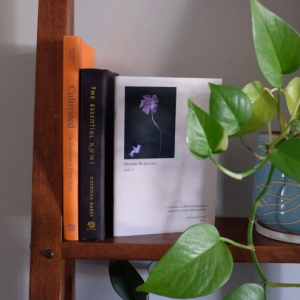 Poetic Zines