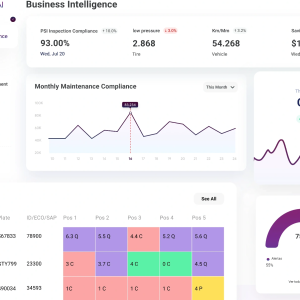 Business Intelligence for Tires