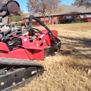 Tree Removals