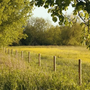 Herbicide Application & Fertilization
