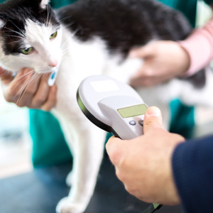 Microchipping Services