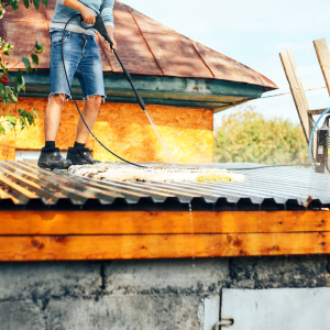 Roof Washing