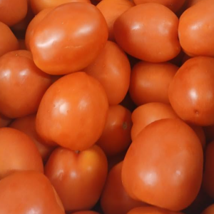 Seasonal Fresh Produce