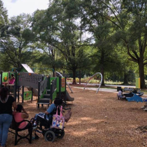 All-Abilities Playground