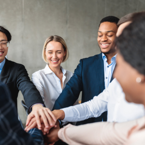 Collaboration and Partnerships