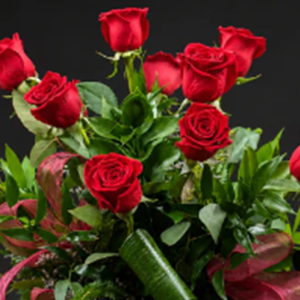 Classic Dozen Roses