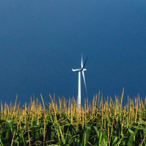 Renewable Energy Generation