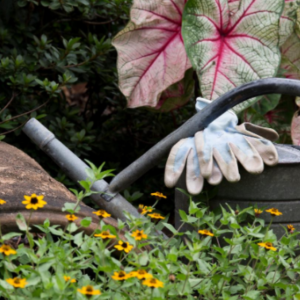 Master Gardener Volunteer Program