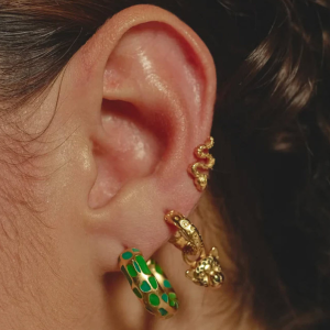 Hoop Earrings