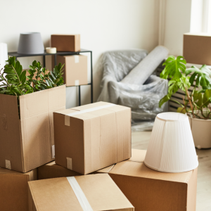 Moving Services