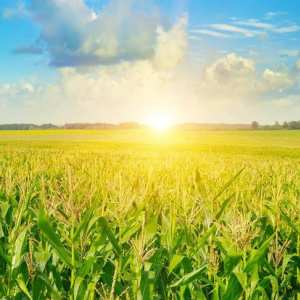 Agriculture Checking