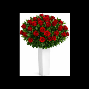 Two Dozen Red Roses Statement Arrangement | Same Day Flower Deliv