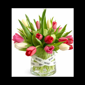 Fresh Tulip Arrangement In Glass Vase – Red, Pink & White Tulips