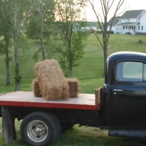 Hay