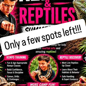 Kempo & Reptiles Summer Camp