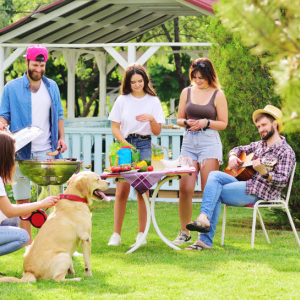 Outdoor Picnic Area with Gazebo