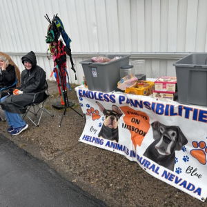 Pet Food and Supplies Assistance