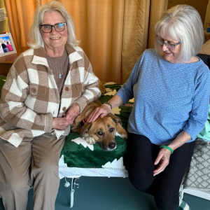 Shelter Animal Transport and Relocation