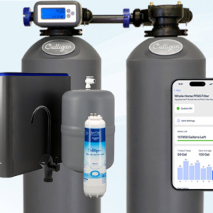 Whole Home PFAS Filter