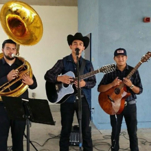 Live Music Entertainment