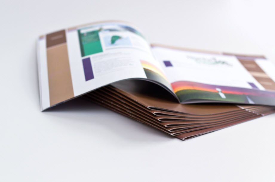 Flyers & Brochures