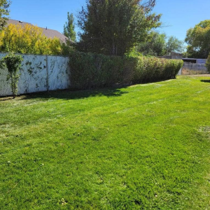 Lawn Mowing