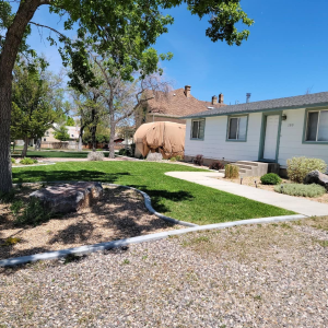Free Estimates